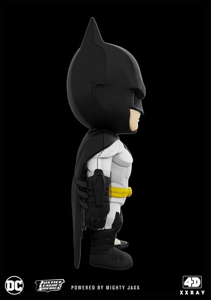 Amazon.com: XXRAY 4D Vision Body Anatomy - Batman Funny